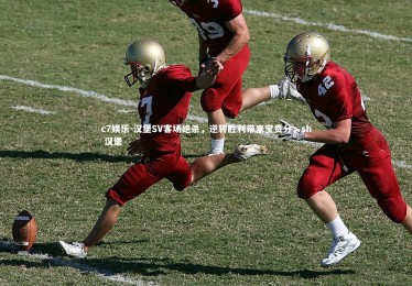 c7娱乐-汉堡SV客场绝杀，逆转胜利带来宝贵分，sh 汉堡